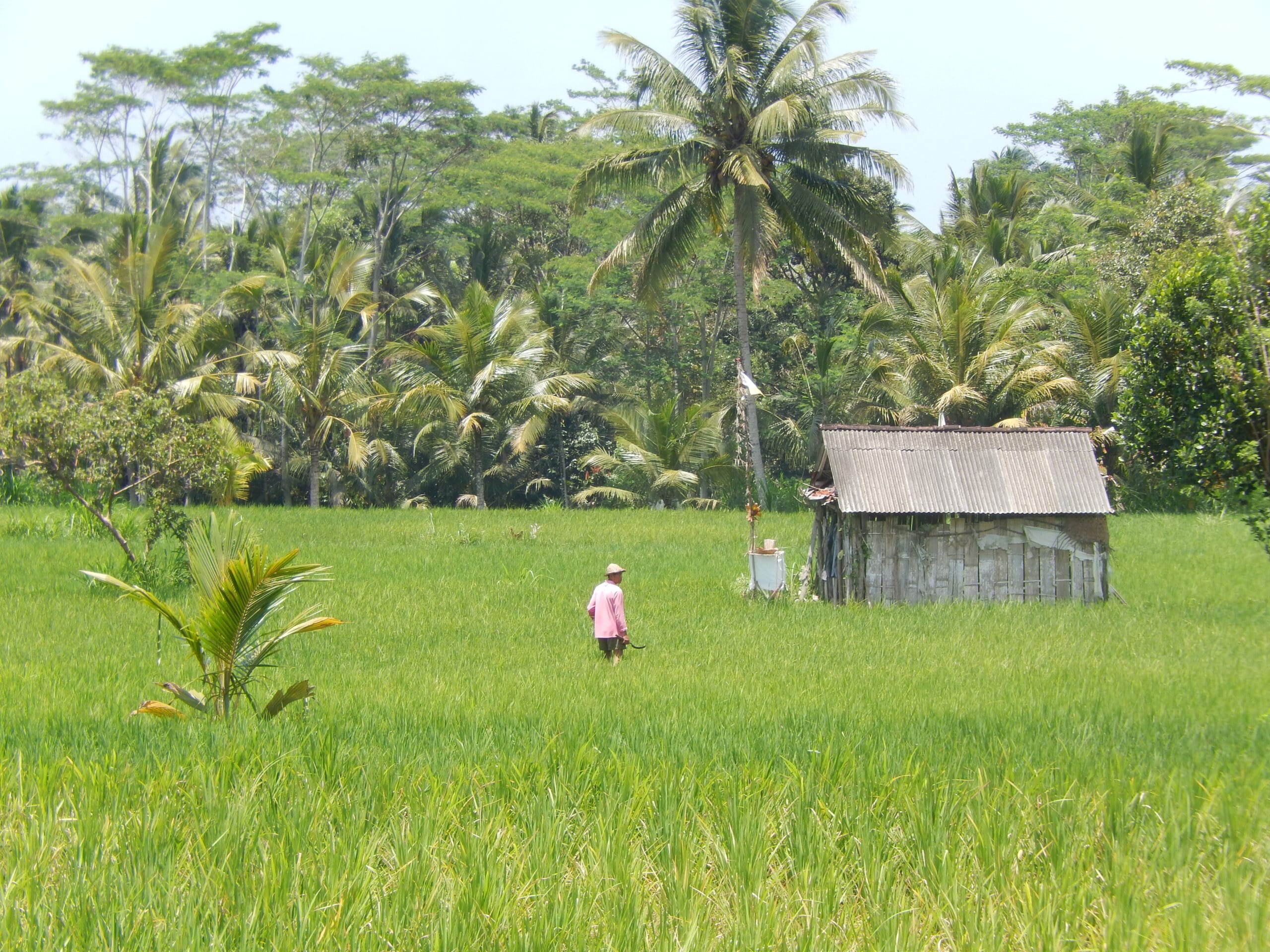 Indonesië alles omvattend