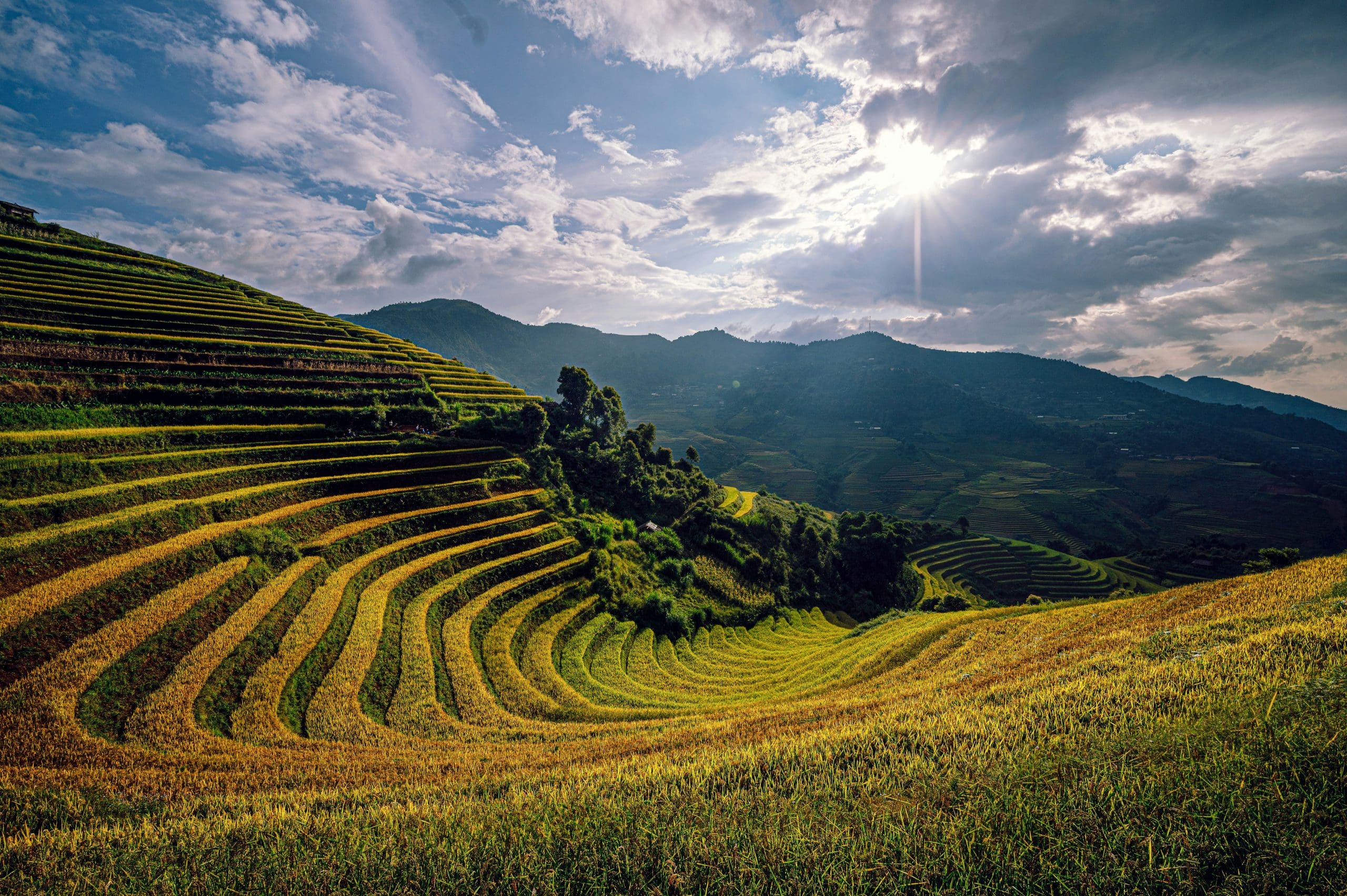 Grotten en rijstvelden in Vietnam