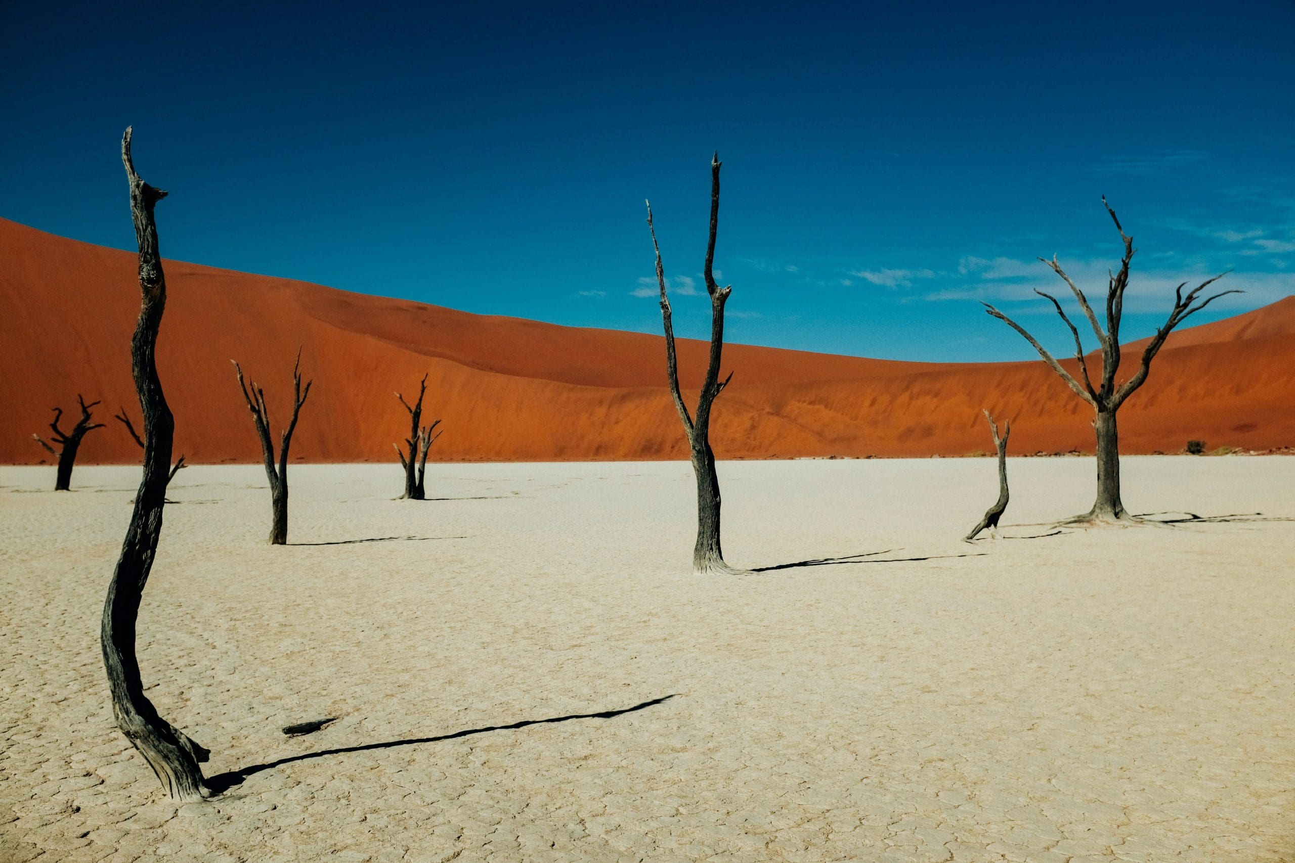 Hoogtepunten van Namibië