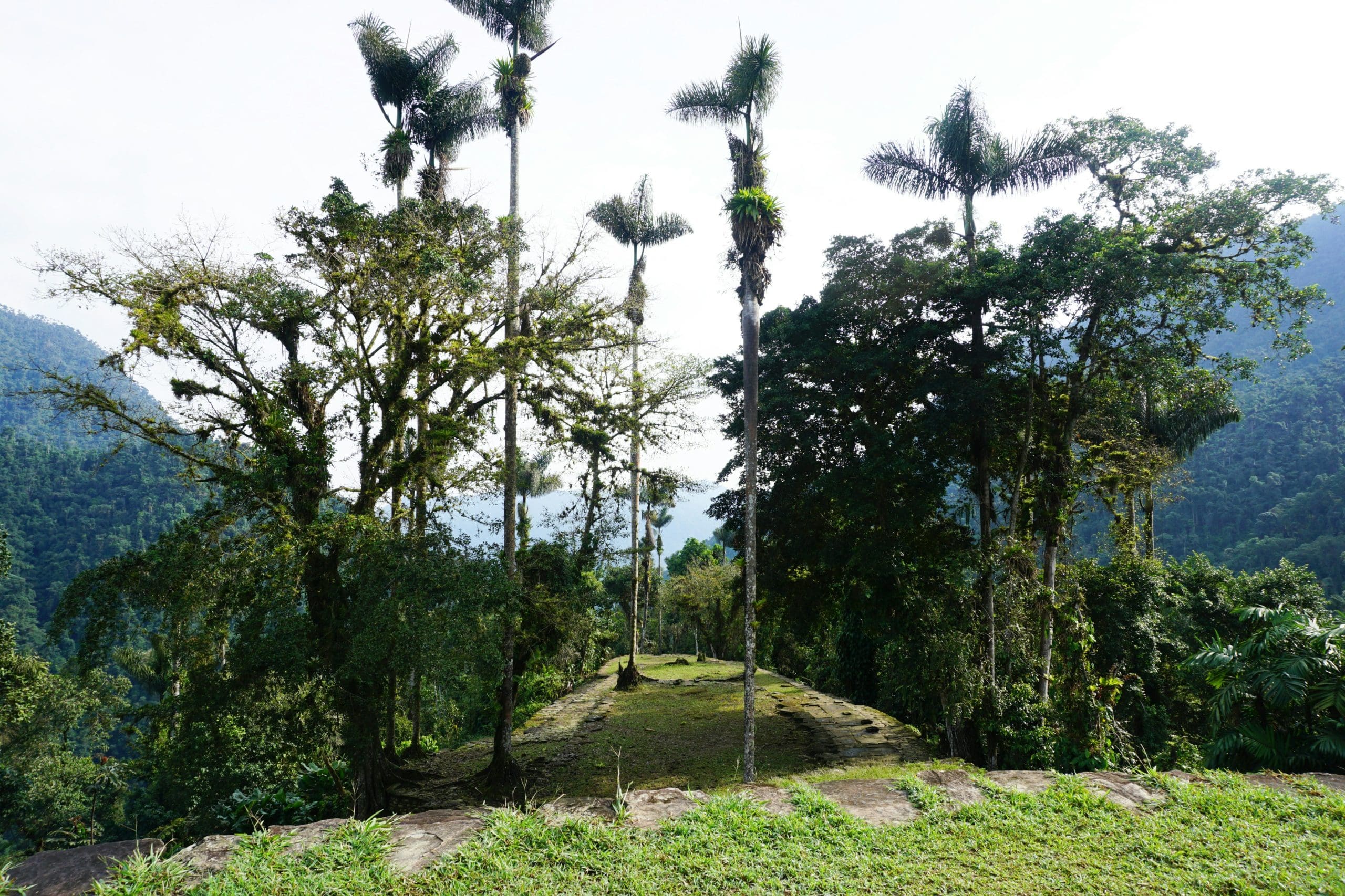 Mijn Avontuur naar Ciudad Perdida